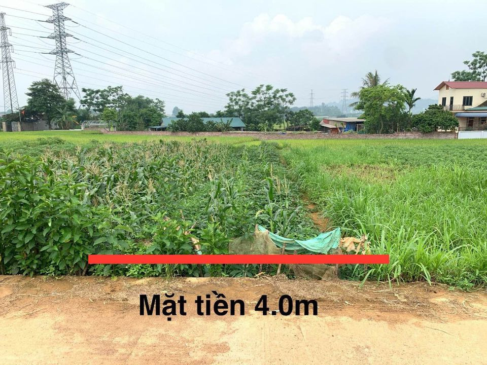 Bán đất huyện Quốc Oai thành phố Hà Nội giá 499.0 triệu-0