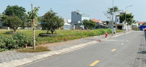 Đường Nguyễn Văn Tỏ, Tỉnh Đồng Nai bán đất giá cực rẻ chỉ 2.55 tỷ diện tích như sau 90m2-03