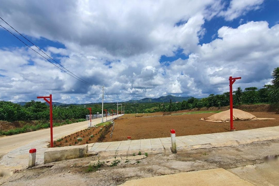Bảo Lâm, Lâm Đồng bán đất giá bán gốc 750 triệu diện tích rộng rãi 98m2-01