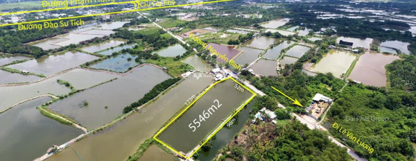 Từ 43.73 tỷ bán đất diện tích sàn là 5466m2 vị trí đẹp ngay ở Nhơn Đức, Hồ Chí Minh, hướng Đông - Bắc-03