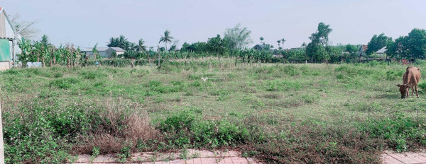 Vị trí đặt ngay Võ Văn Kiệt, Bình Sơn bán đất giá bán cực êm 650 triệu diện tích thực như trên hình 190m2-03