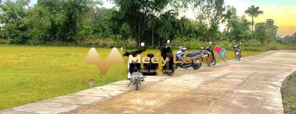 Bán đất huyện Hòa Vang, Đà Nẵng giá vô cùng rẻ 290 triệu. Có tổng diện tích 85m2-02