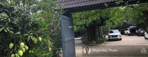 Hot Nhà vườn nghỉ dưỡng, 5000m2, Long Phước, Quận 9, chỉ ~ 8 tr/m2 khu vực đông đúc-02
