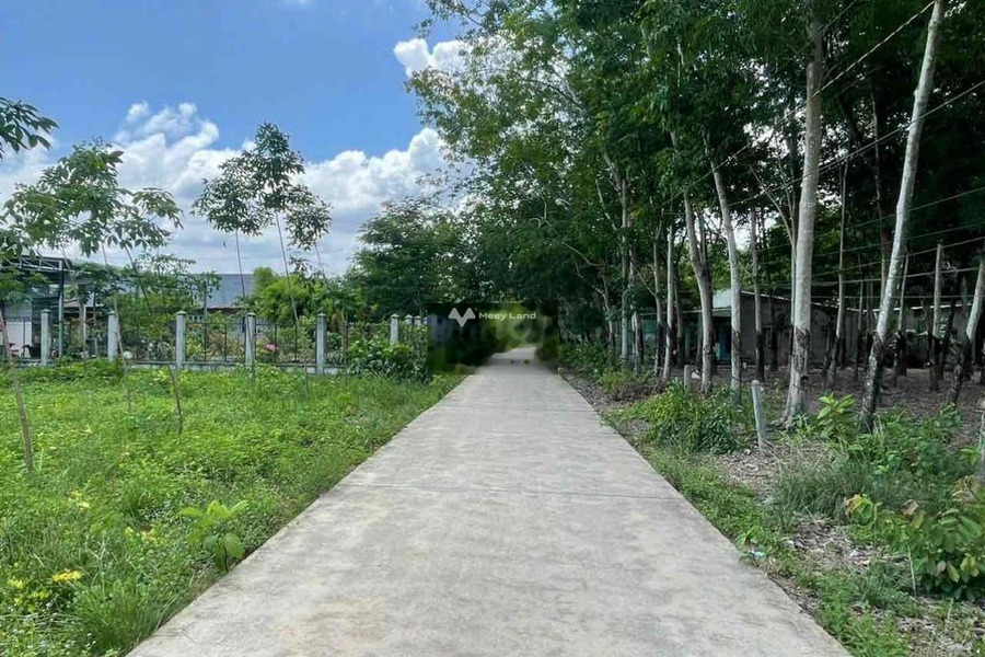 Cần ra đi gấp bán mảnh đất, 500m2 giá bất ngờ 230 triệu nằm ở Đồng Phú, Bình Phước hỗ trợ mọi thủ tục miễn phí-01