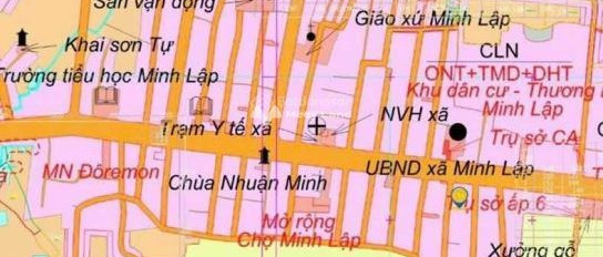 Nằm ngay Minh Lập, Bình Phước bán đất giá siêu rẻ 450 triệu với diện tích là 300m2-02
