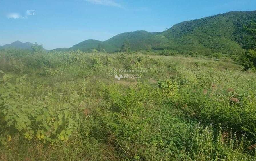 Ninh Hòa, Khánh Hòa bán đất diện tích thực 16000m2-01