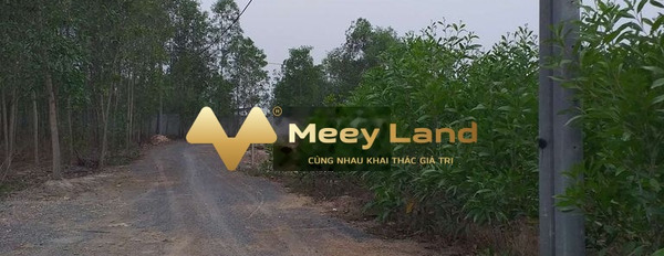 Giá bán vô cùng rẻ chỉ 250 triệu, Bán đất với dt khoảng 100 m2 tại Huyện Vĩnh Cửu, Tỉnh Đồng Nai giá có thể fix-02