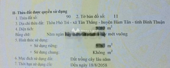 Bán mảnh đất, giá bán giao lưu 3 tỷ, hướng Nam diện tích rất rộng 13000m2-03