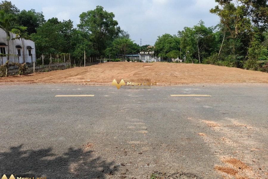 Bán đất diện tích 1658m2 tại Đường Dh609, Phú An-01