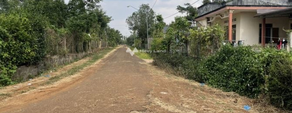 Cư Kuin, Đắk Lắk bán đất giá bán mong muốn chỉ 900 triệu có một diện tích sàn 600m2-02
