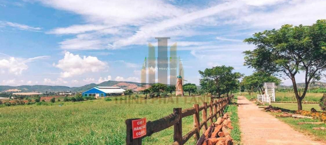 Vị trí thuận lợi Diên Thọ, Khánh Hòa bán trang trại bán ngay với giá cực sốc 20 tỷ, hướng Tây - Bắc diện tích sàn là 169.9m2