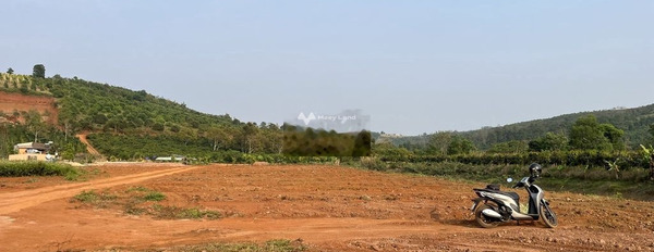 Do khó khăn về tài chính bán mảnh đất, 1000m2 giá bán chính chủ chỉ 520 triệu vị trí thuận lợi nằm tại Đắk Song, Đắk Nông lh thương lượng thêm-03