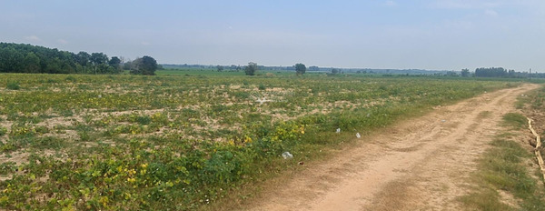 Bán đất có diện tích gồm 3717m2 vị trí đẹp ngay trên Hòa Thạnh, Tây Ninh-03