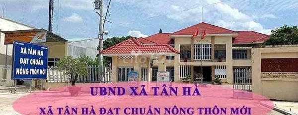 Bán đất 539 triệu Tân Hà, Tây Ninh diện tích tổng là 1000m2-03