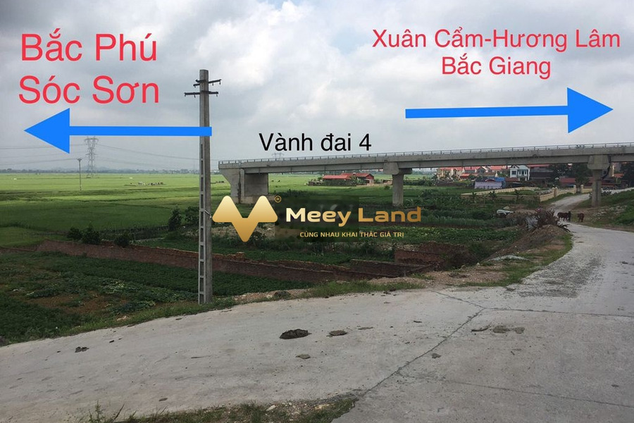 Bán đất tọa lạc tại Bắc Phú, Hà Nội-01
