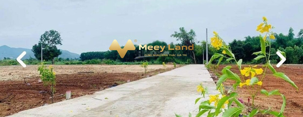 Giá mua liền từ 340 triệu bán đất tổng dt 99 m2 nằm tại Thị Trấn Diên Khánh, Huyện Diên Khánh, hướng Tây-02