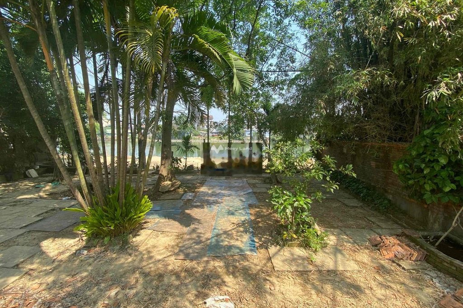 Vị trí đặt vị trí ngay trên Nguyễn Công Trứ, Thừa Thiên Huế cho thuê đất thuê ngay với giá ưu đãi từ 25 triệu/tháng diện tích rộng rãi 500m2-01