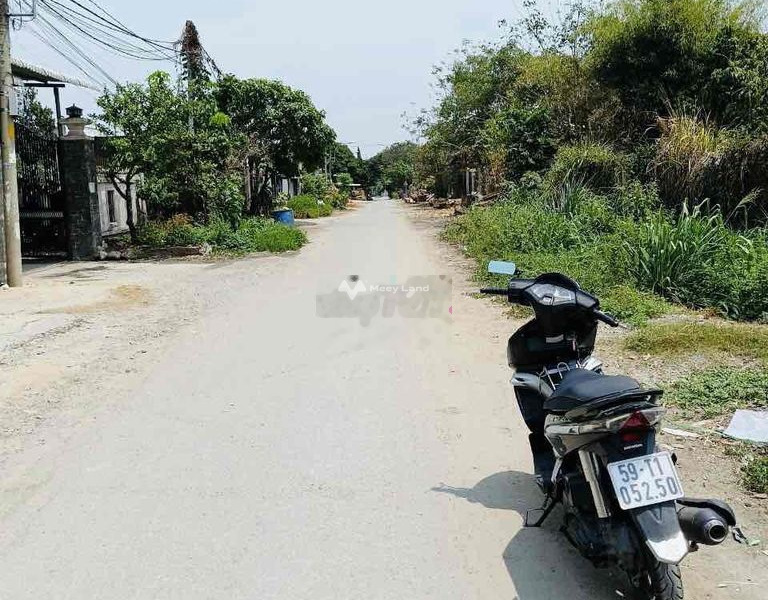 Tại Lộc Ninh, Tây Ninh bán đất giá bán cực mềm chỉ 250 triệu với diện tích 100m2-01