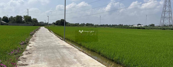 đất lúa 2 mặt tiền đường đan 3m được chuyển thổ gần KCN An Nhựt Tân -03