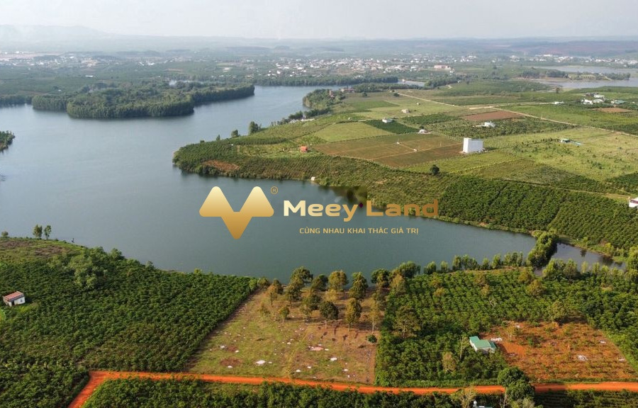 Tôn Thất Thuyết, Bảo Lộc 650 triệu bán đất có dt trung bình 92 m2-01
