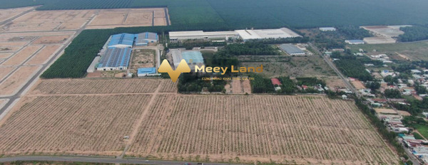1.9 tỷ, bán liền kề dt cụ thể 100 m2 vị trí đẹp nằm ngay Thị Trấn Long Thành, Huyện Long Thành không lo ngập nước-02