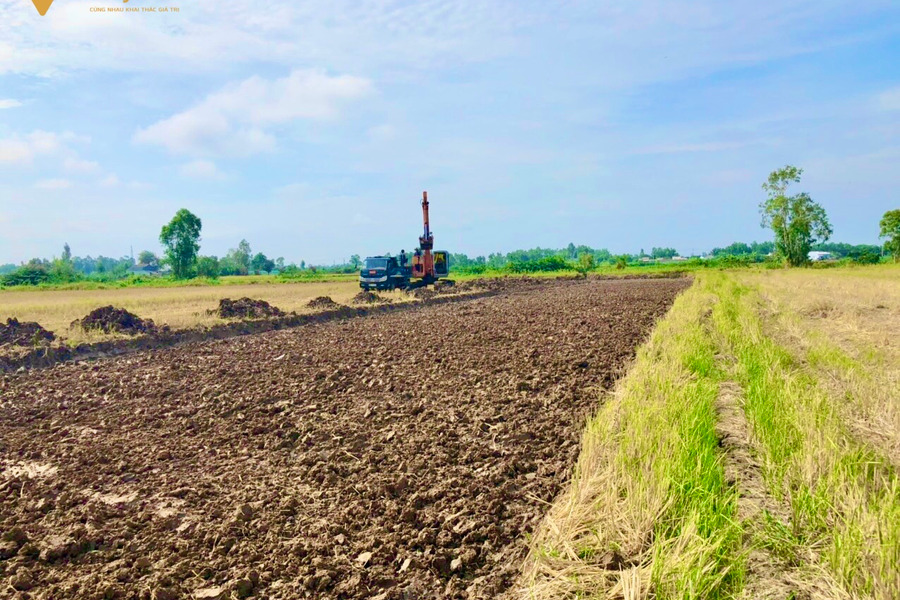 Bán đất tại Thanh Nhung, Phước Trung diện tích 13000m2 đất trồng lúa, giá 400 triệu công. Tổng giá 5,2 tỷ-01