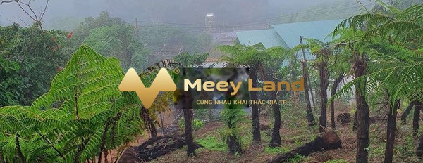 Bán nhà diện tích chuẩn 2014 m2 vị trí mặt tiền tọa lạc ngay tại Đường Lê Văn Tám, Thị Trấn Di Linh giá chốt nhanh 6 tỷ-02