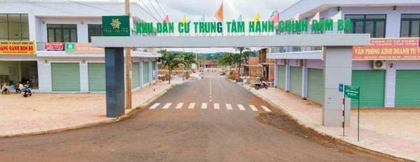 Cực sốc bán mảnh đất, 100m2 giá khuyến mãi 475 triệu vị trí mặt tiền ở Bom Bo, Bình Phước giá tốt nhất-03