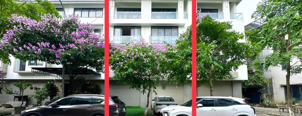 Gia đình cần tiền bán căn nhà B52-Ô7 KĐT Geleximco Lê Trọng Tấn (100m, 4 tầng, mặt tiền 5m) 13.3 tỷ -02