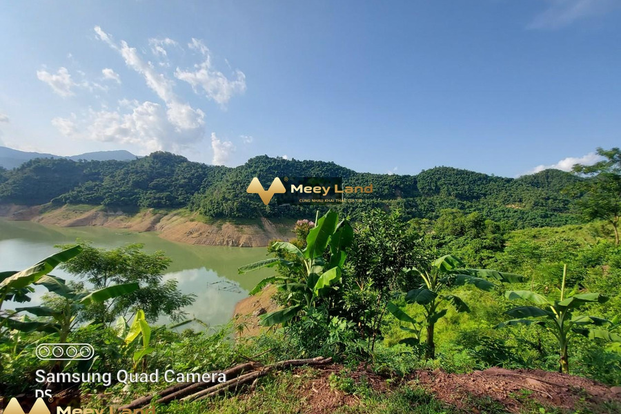 Bán đất dt chung quy 22000 m2 vị trí thuận lợi nằm trên Xã Thung Nai, Tỉnh Hòa Bình-01