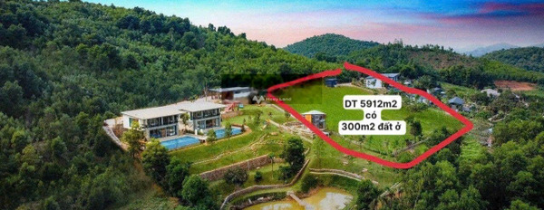 Vị trí ngay ở Yên Bài, Ba Vì bán đất giá bán khuyến mãi chỉ 19.25 tỷ diện tích quy đổi 5500m2-03