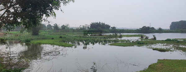 Ngay Phú Cát, Quốc Oai bán đất 7.5 tỷ, hướng Tây - Bắc với diện tích chuẩn 500m2-02
