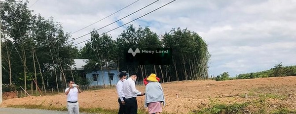 Lộc Thạnh, Lộc Ninh bán đất giá cực kì tốt chỉ 559 triệu diện tích thực 217m2-03