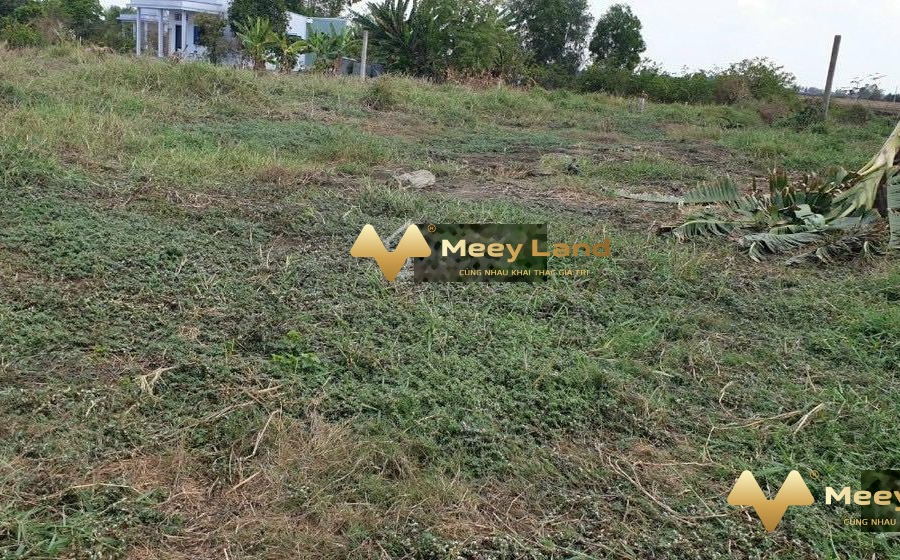 Cần bán mảnh đất tại Phước Đông, Long An. Diện tích 2500m2, giá 3,5 tỷ-01