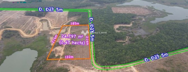 1.3 tỷ bán đất diện tích chung 1500m2 tọa lạc ngay tại Minh Hòa, Bình Dương, hướng Nam-02