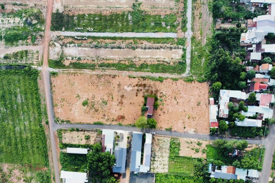 Chuyển định cư bán mảnh đất, 1854m2 giá mềm 900 triệu vị trí đặt tọa lạc ngay ở Đồng Phú, Bình Phước hãy nhấc máy gọi ngay-01