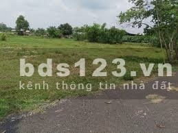 An Phú, Củ Chi cho thuê đất có diện tích khoảng 42m2-01