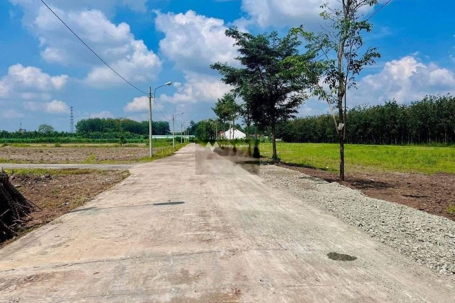 Giá bán tốt 280 triệu bán đất diện tích tổng là 250m2 vị trí ngay ở Nha Bích, Bình Phước-01