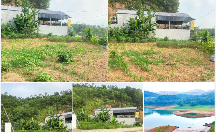 Chính chủ cần tiền bán nhanh lô đất tại xã Thịnh Hưng, huyện Yên Bình, tỉnh Yên Bái