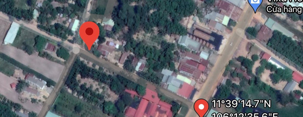 Bán lô đất thổ cư 200m2 nằm ngay khu công nghiệp Tân Hội, Tân Châu, Tây Ninh-03