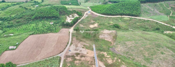 Khánh Vĩnh, Khánh Hòa 1.65 tỷ bán đất với tổng diện tích 1000m2-02