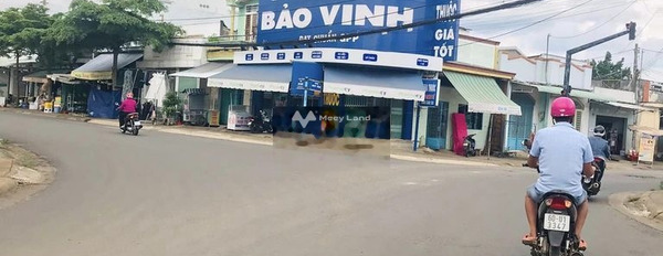 Thống Nhất, Đồng Nai bán đất giá hợp lý từ 100 triệu có một diện tích sàn 115m2-03