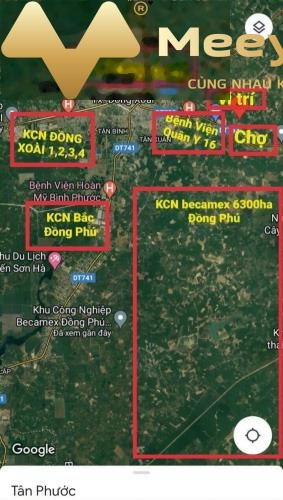 Bán đất 800 triệu, Đường Đt753, Tân Phước, diện tích 250m2-01