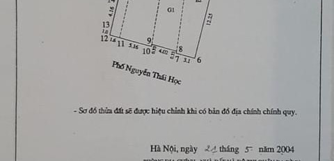 Đất vàng mặt phố trung tâm Ba Đình-03