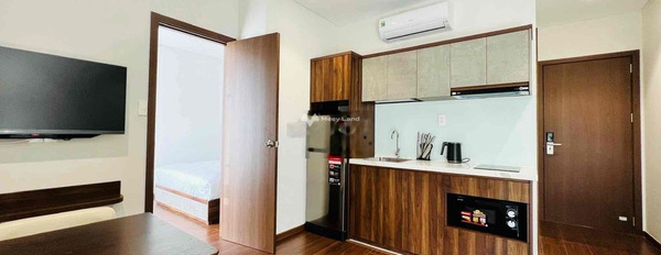 Cho thuê căn hộ tổng diện tích 40m2 ngay trên Nguyễn Bá Tòng, Tân Bình thuê ngay với giá siêu ưu đãi từ 12 triệu/tháng-02