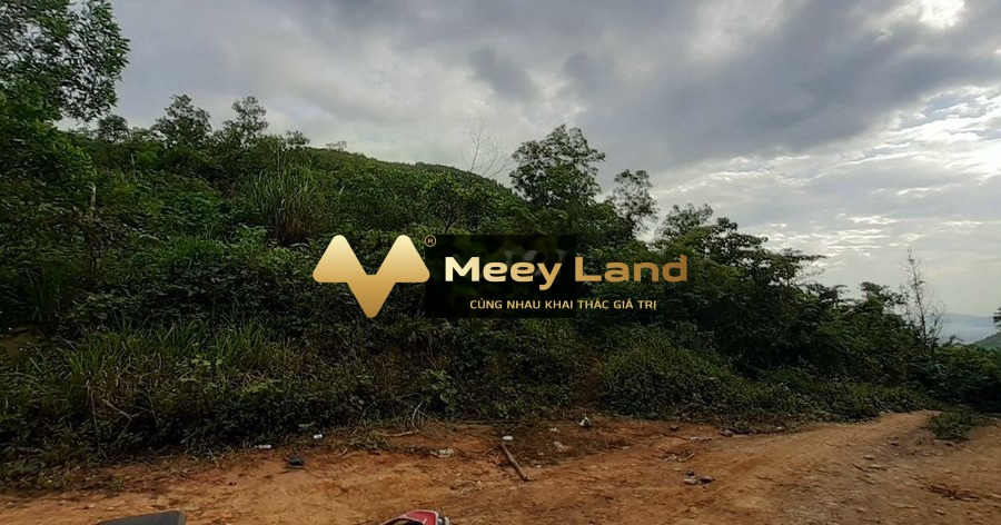 16 tỷ bán đất có dt chung là 110 m2 ngay tại Ninh Tây, Ninh Hòa-01