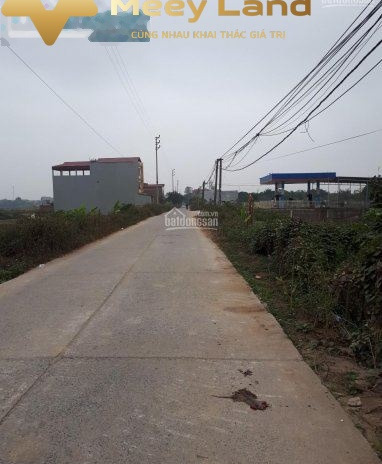 Vị trí thuận lợi nằm ở Xã Yên Giả, Huyện Quế Võ cho thuê đất giá bàn giao chỉ 5 triệu/tháng có dt tiêu chuẩn 400 m2, với mặt ngõ ngang 8 m
