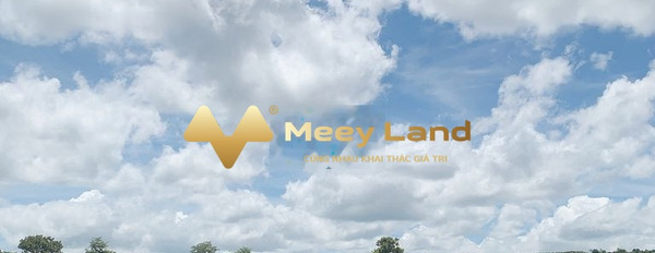 Bán đất 8,96 tỷ Dliê Yang, Đắk Lắk, có tổng diện tích 16000 m2-02