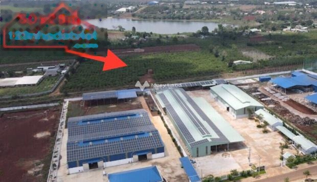 Bán đất 530 triệu Trà Đa, Gia Lai có diện tích trung bình 1250m2, đường lưu thông 30 mét-01