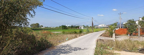 Nằm trong mức 2.1 tỷ bán đất có diện tích chung 408m2 mặt tiền tọa lạc ngay ở Hàm Thuận Bắc, Bình Thuận-02